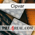 Cipvar 17